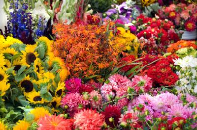 Cheap Flowers in Minneapolis