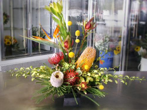 Tropical Floral 