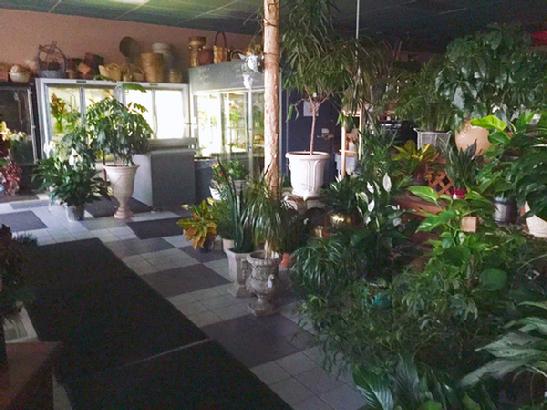 Flower shop coolers