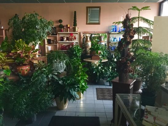 The Flower Shoppe interior