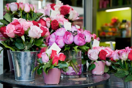 valentines day roses